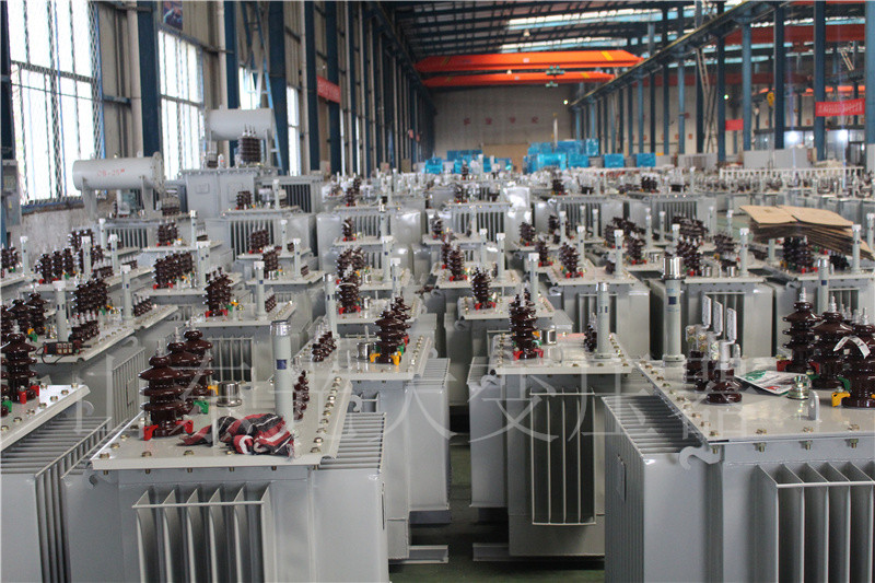 西安S22-800KVA/10KV